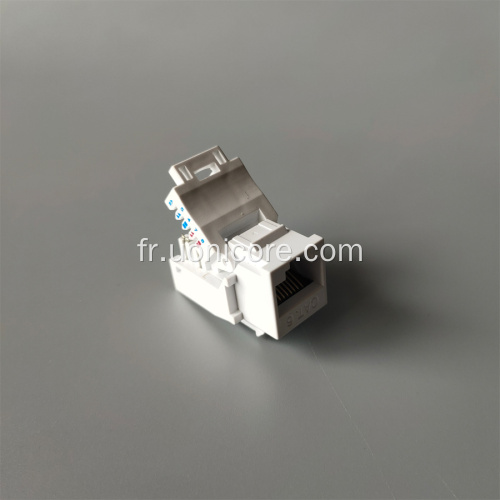 Prise trapézoïdale RJ45 sans outil UTP CAT6